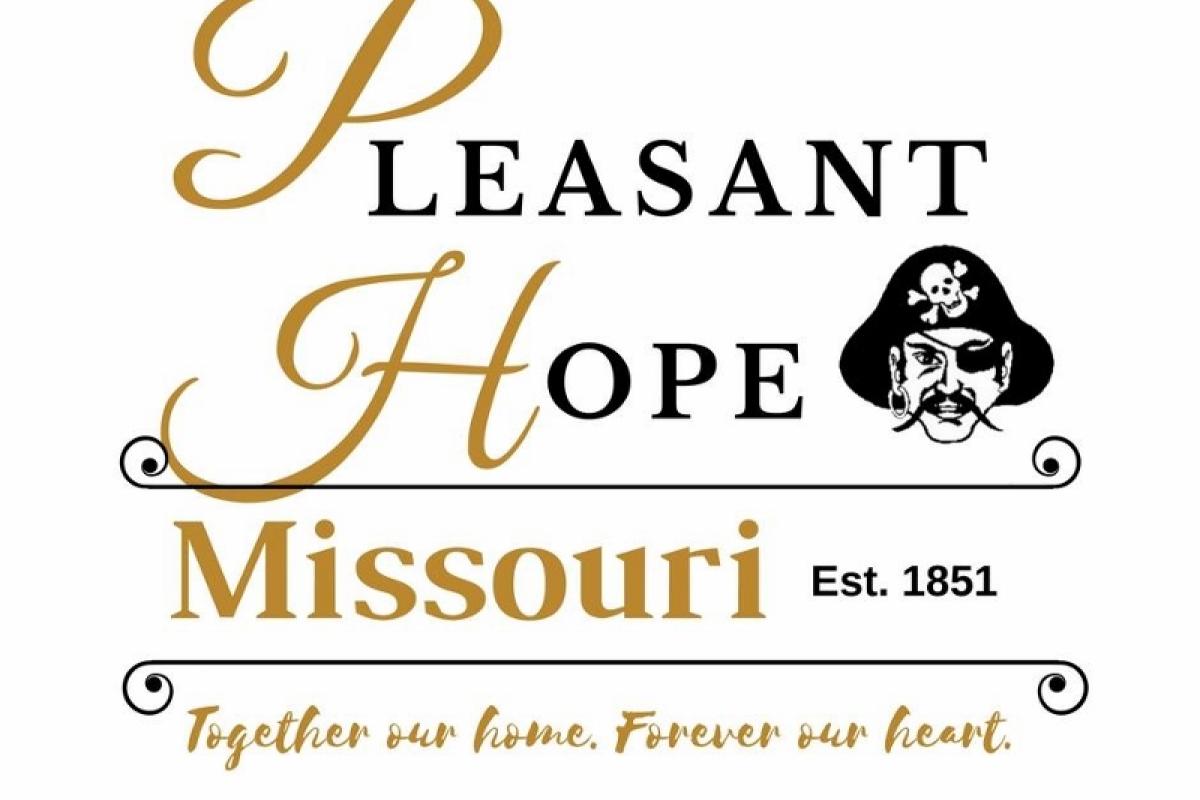 Town Logo