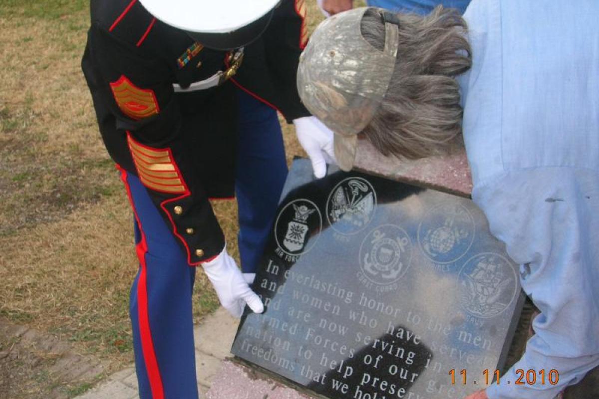 Veterans Day November 11, 2010