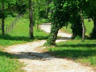 Pleasant trails