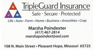 Tripleguard